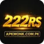 222RS Game