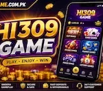 HI309 Game